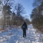 Calming Walk in the woods