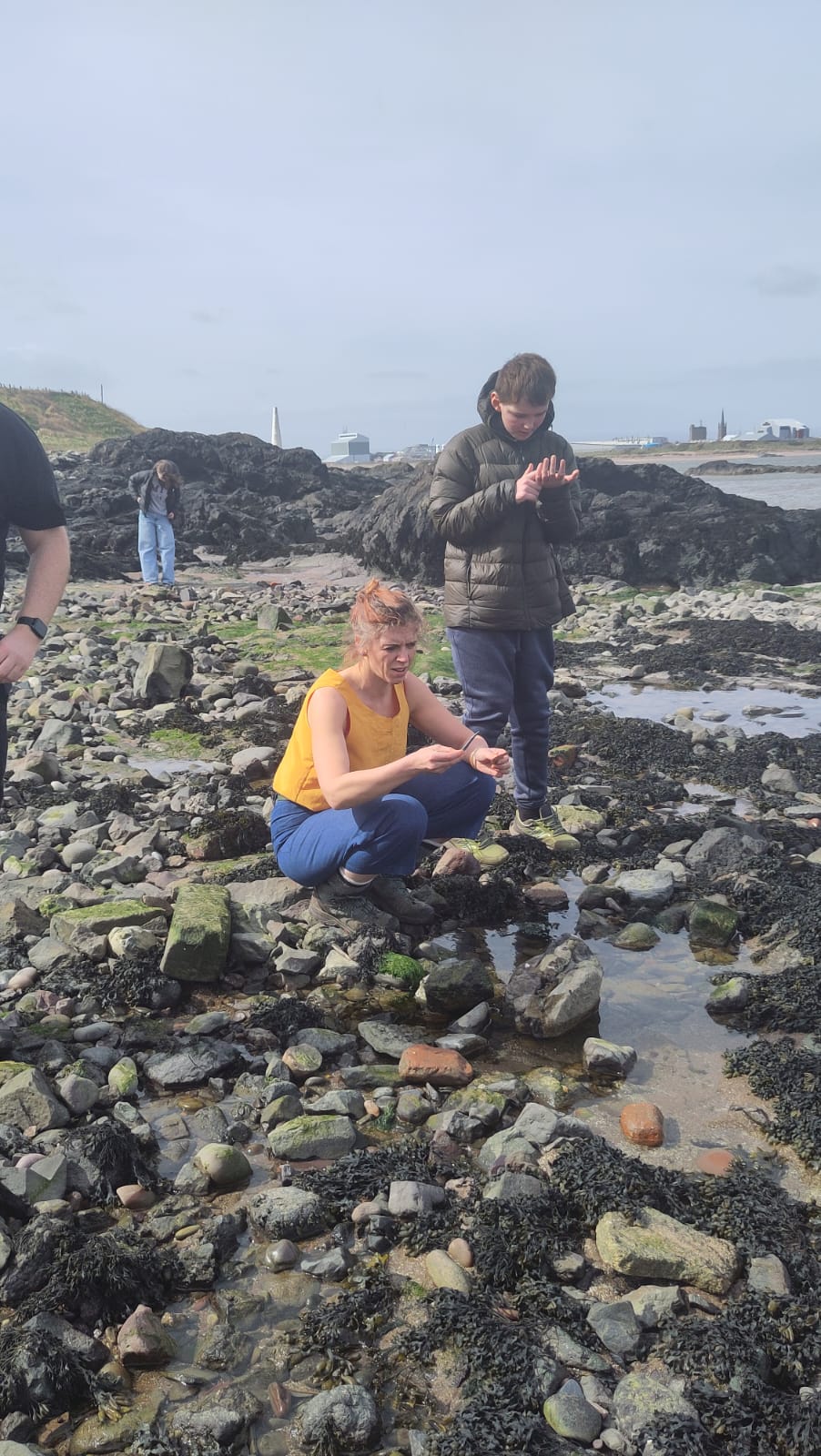 Rock pooling in Angus